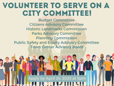 Volunteer to serve on a city committee!
