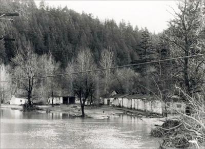 Cabins owned by Ruby and Elliot Staten, located under what is now the Glenn Otto Park parking lot in December 1964. THS Photo