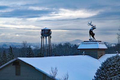 Winter view of the water tower and elk statue