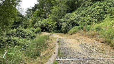 Robins Way Trail