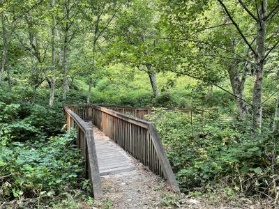 Bridge on Robins Way Trail