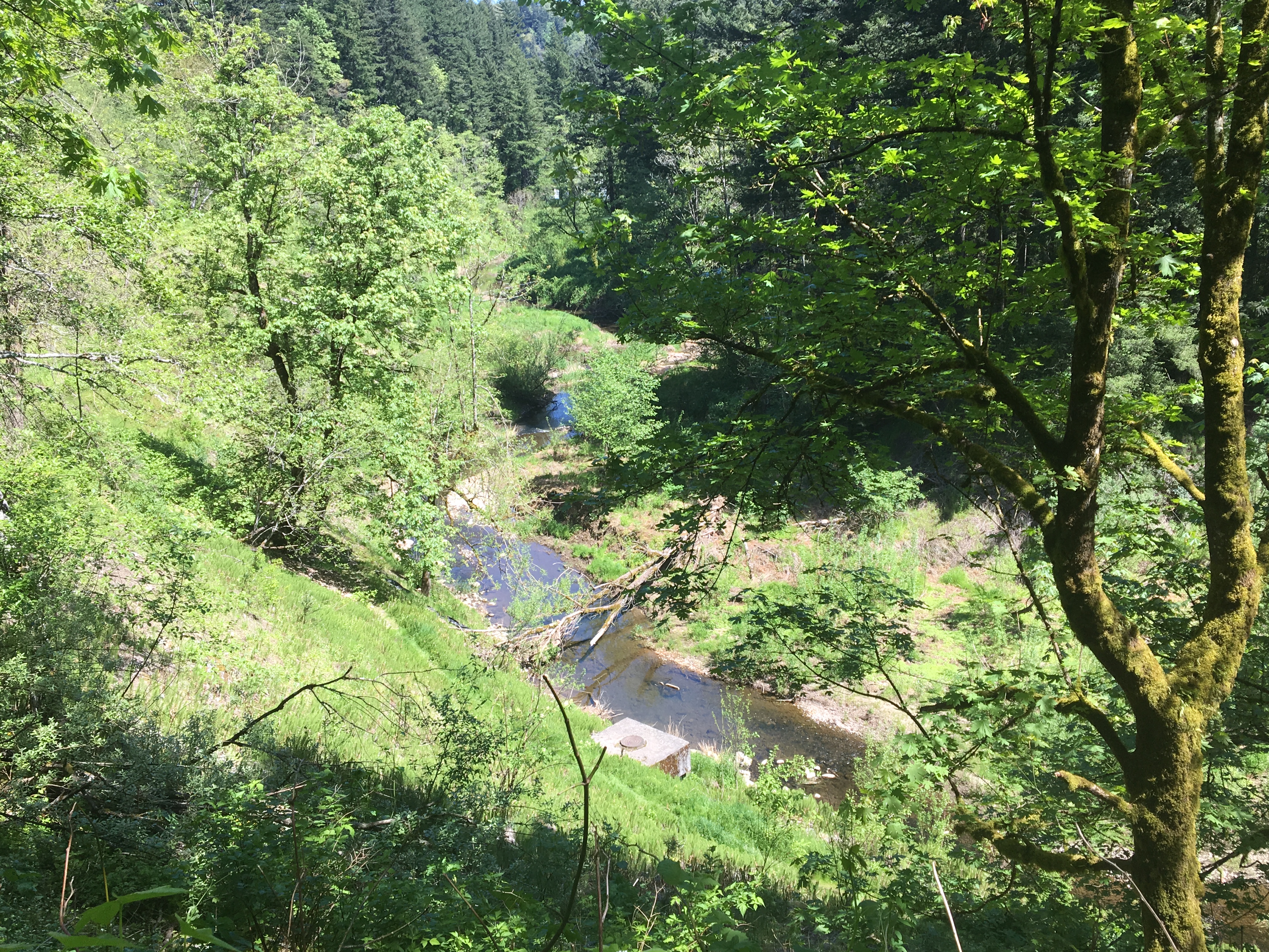 Photo of Beaver Creek Greenway