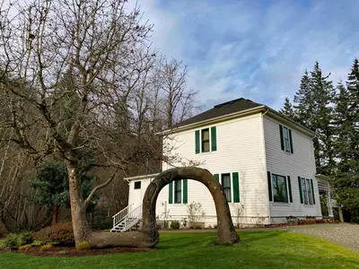 A recreation of Lovers Oak stands on the grounds of the Harlow House Museum.