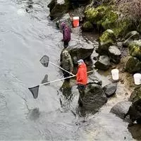 People with empty dipnets and buckets stand on rocks next to a river
