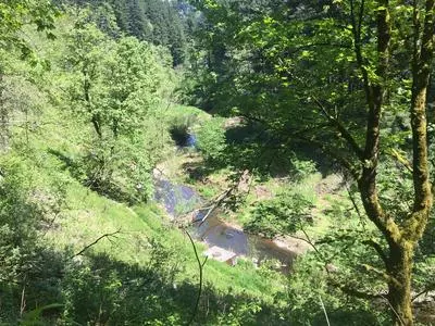 Beaver Creek Greenway