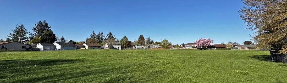 Woodale Park is currently undeveloped and facilities are limited to an open grass area.