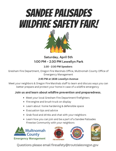 Safety Fair