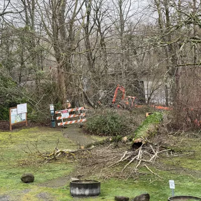 Crews clear bushes and trees at the Sandy River Park and Trail
