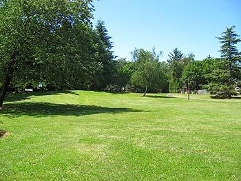 Weedin Park
