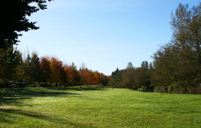 College Nature Park at Beaver Creek