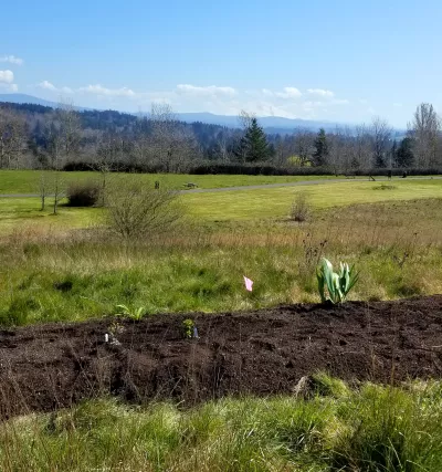 Sunrise Park Pollinator Garden