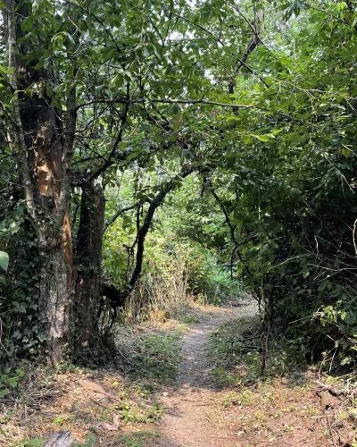 Robins Way Trail