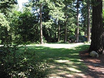 Walking path in the woods at Glenn Otto Community Park