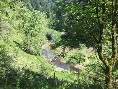img_0093.jpg Beaver Creek Greenway