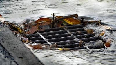 sewer_grate_leaves.jpg Leaves clogging a storm drain