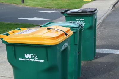 Garbage and recycling bins at the curb