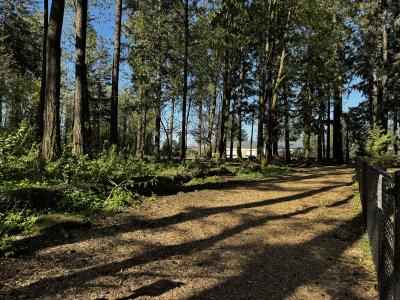 Fenced-in dog park at Columbia Park in Troutdale