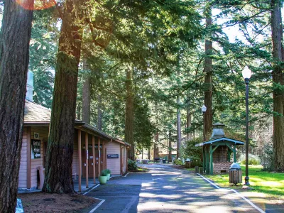 Pathway into Glenn Otto Park with fir trees the Sam Cox Building on the left