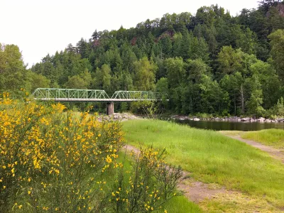 Troutdale Bridge in the distance with spring flowers in the foreground at Glenn Otto Park