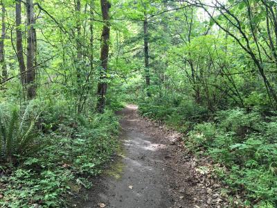 Hiking trail through a wooded area in Glenn Otto Park