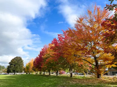 Red and yellow trees at College Nature Park under a blue sky with white clouds