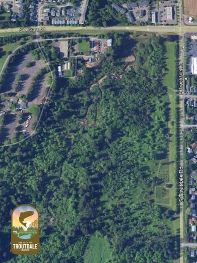 College Nature Park Aerial View