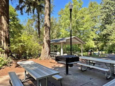 Picnic tables and a grill next to a picnic shelter at Glenn Otto Park