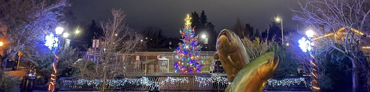 Troutdake Windy Winderland Tree Lighting