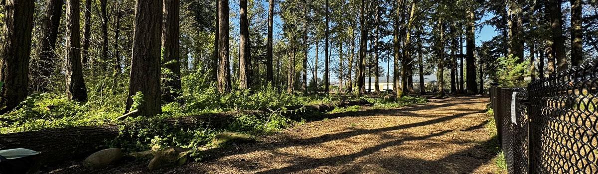 Troutdale's off-leash dog park is located inside Columbia Park