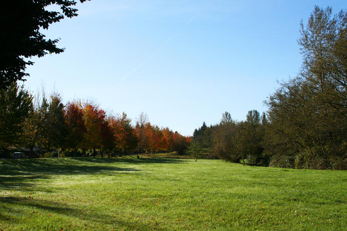 College Nature Park at Beaver Creek