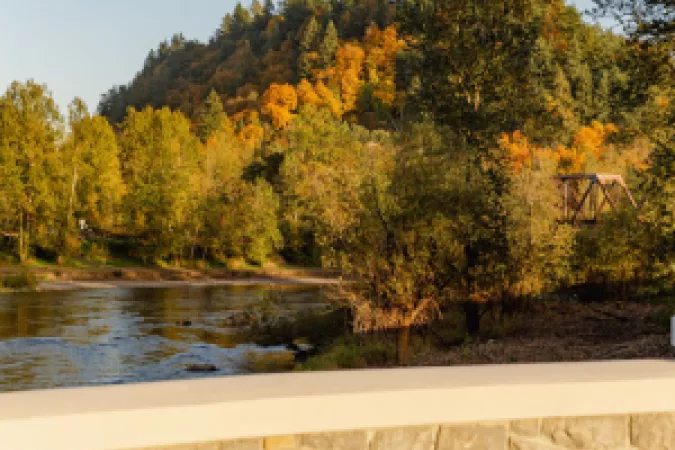 A view of Broughton Bluff from the observation area at Sharon Nesbit Heritage Park 